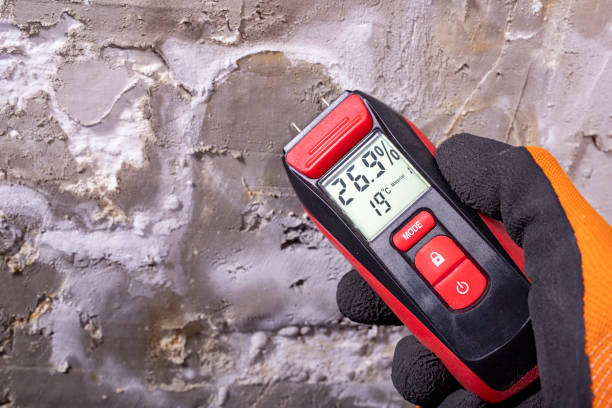 Best Mold Testing  in Hayden, AL