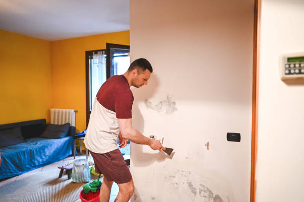 Best Mold Remediation  in Hayden, AL